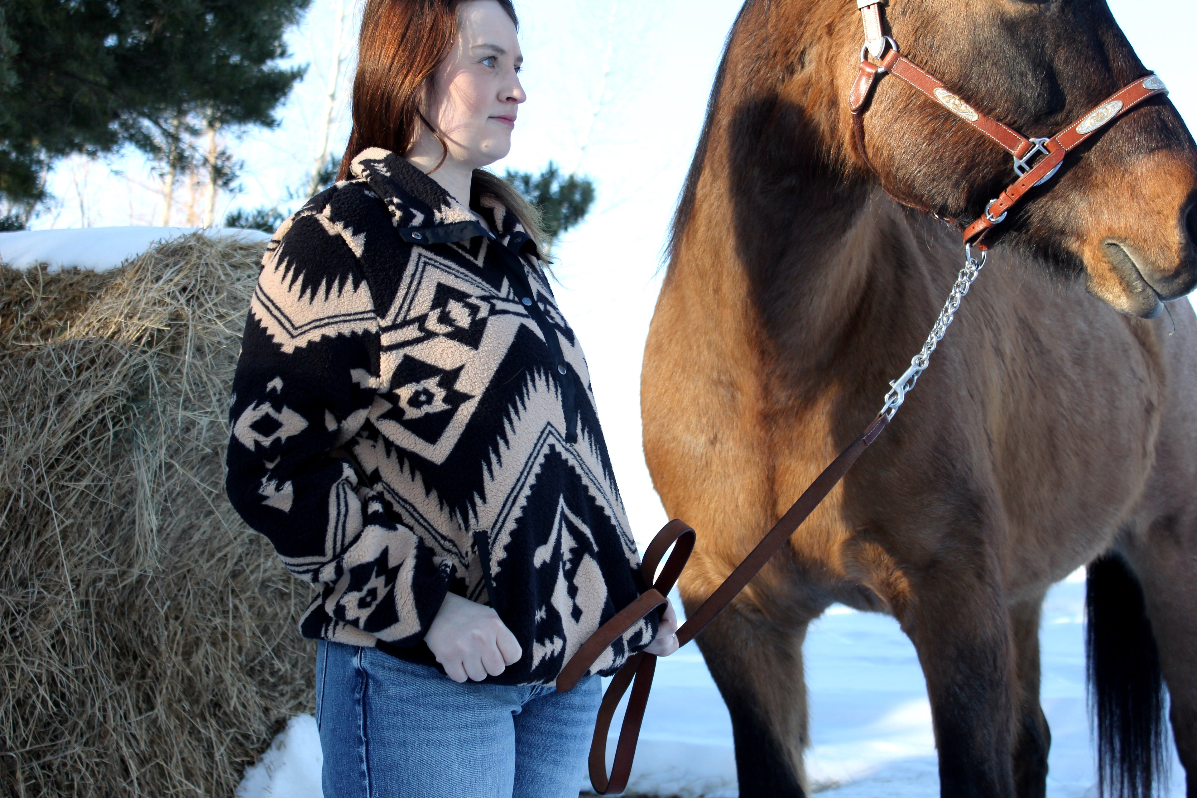 Aztec 1/4 Button Pullover