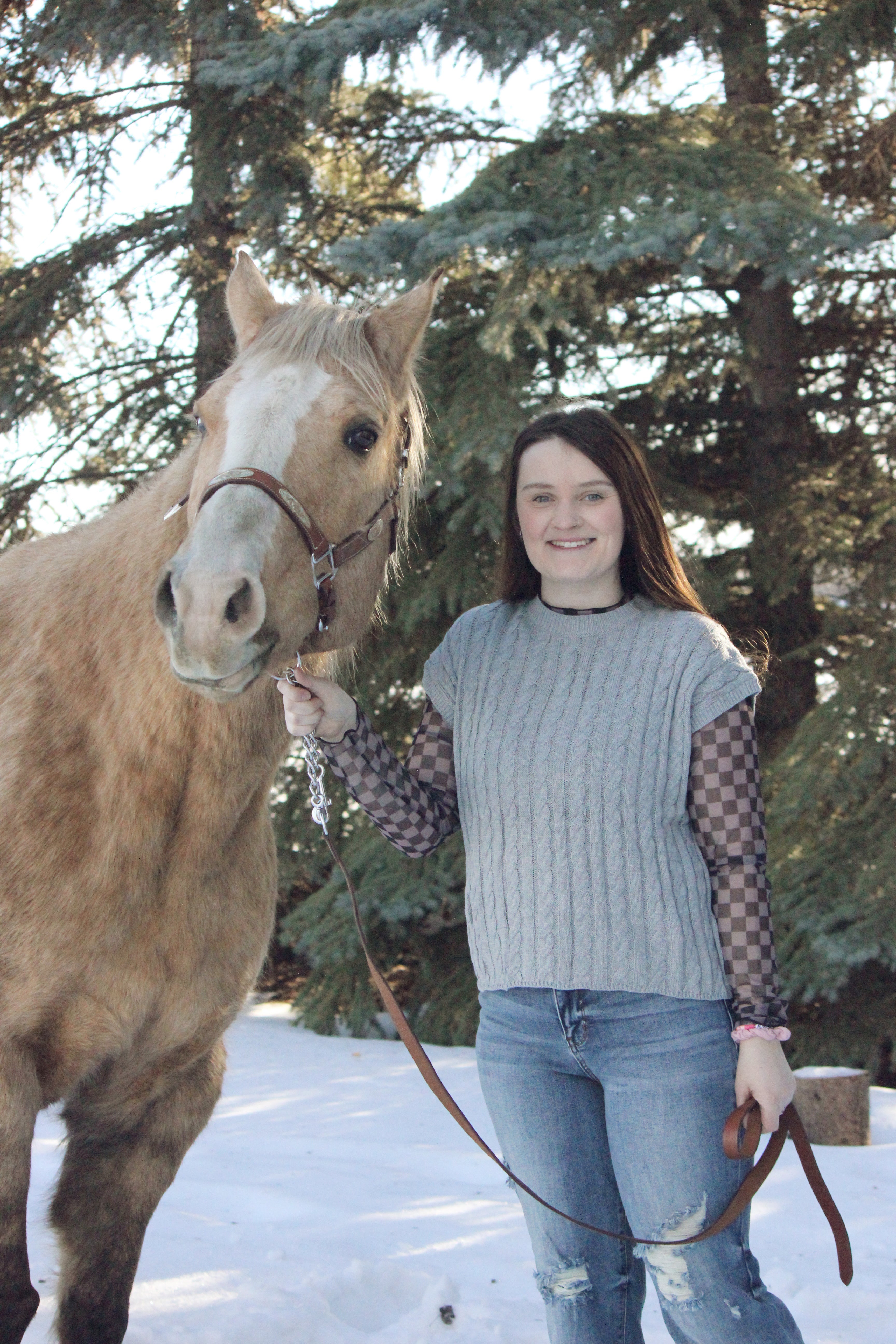 Cable Knit Short Sleeve Sweater