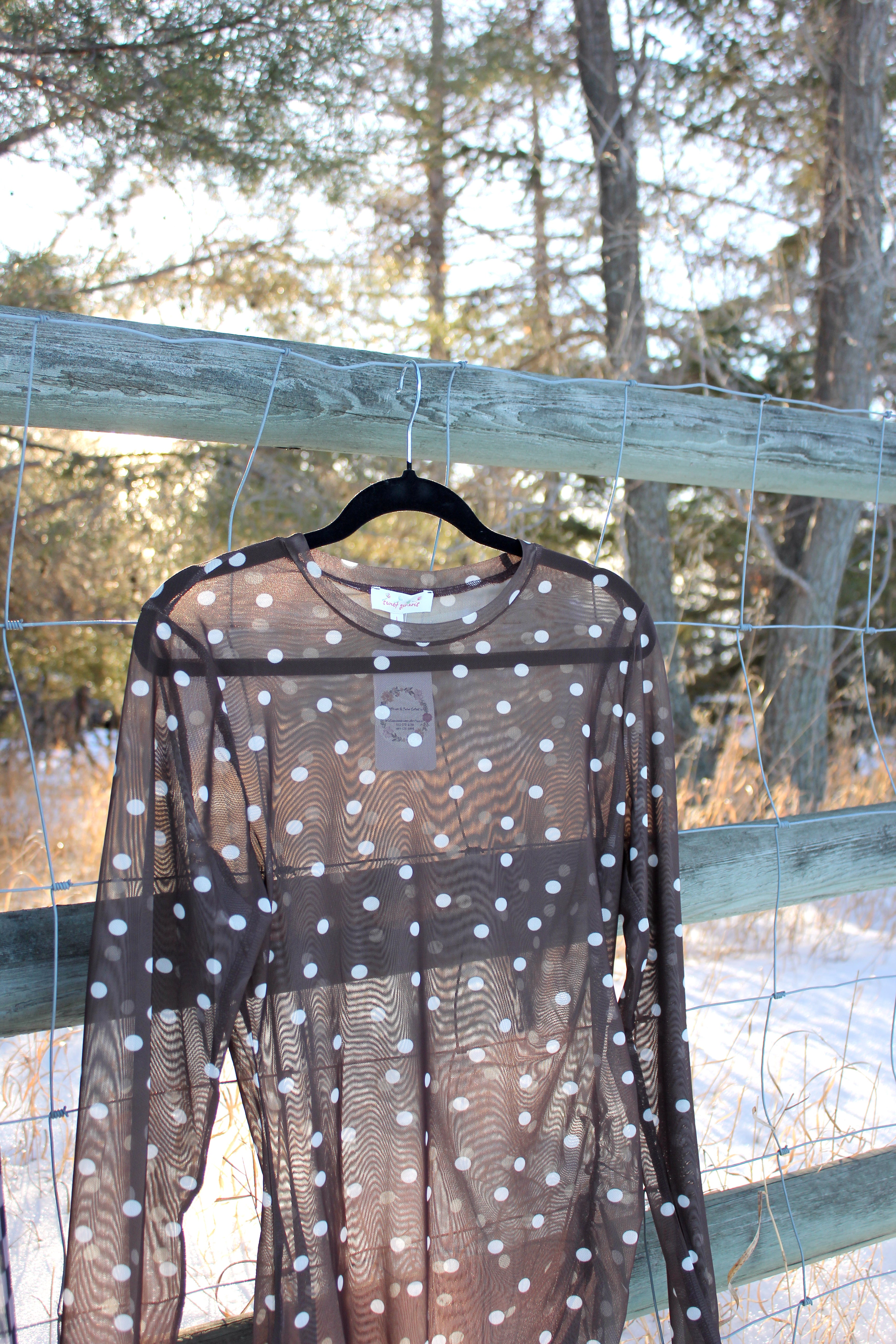 Mesh Polka Dot Long Sleeve