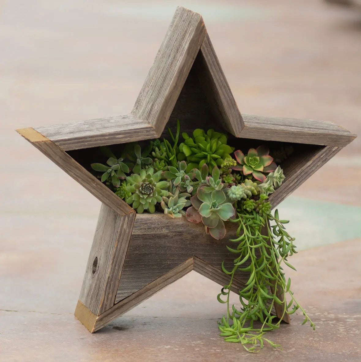 Wildflower and Twine Home Goods